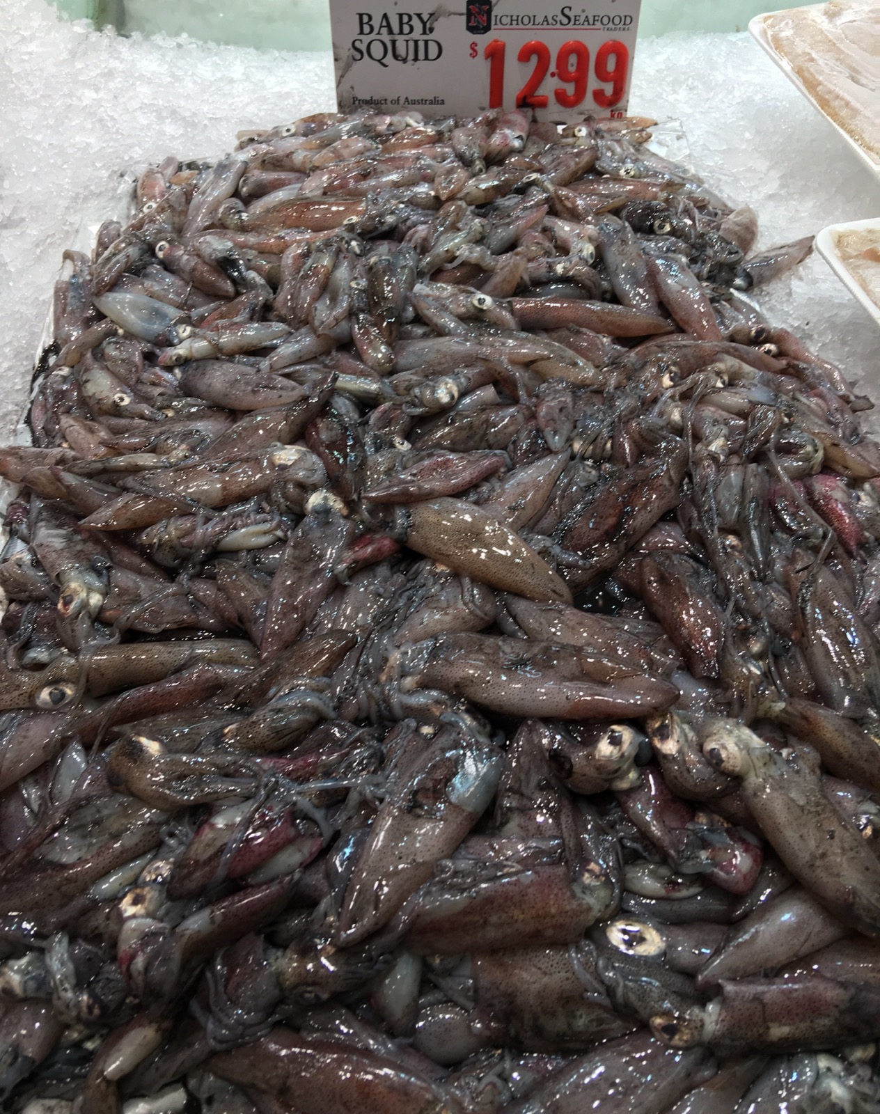 sydney-fish-market_baby-squid