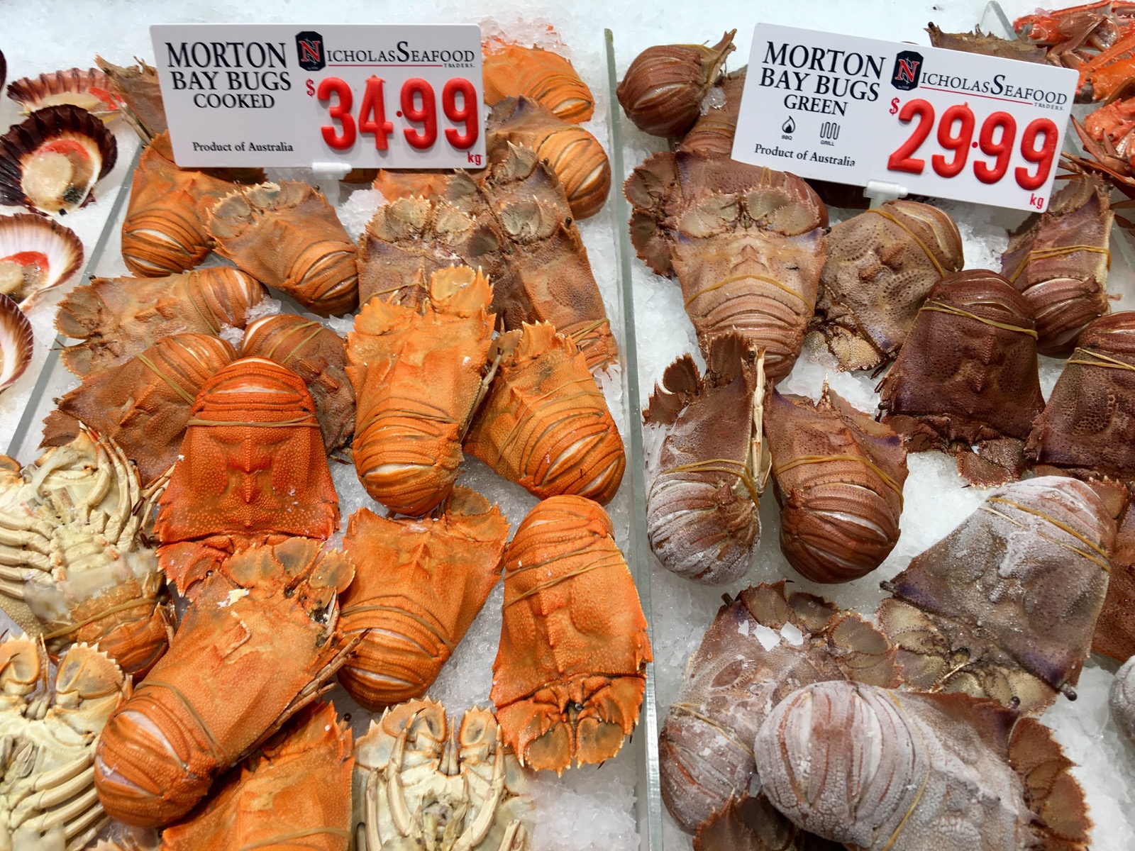 sydney-fish-market_bay-bug