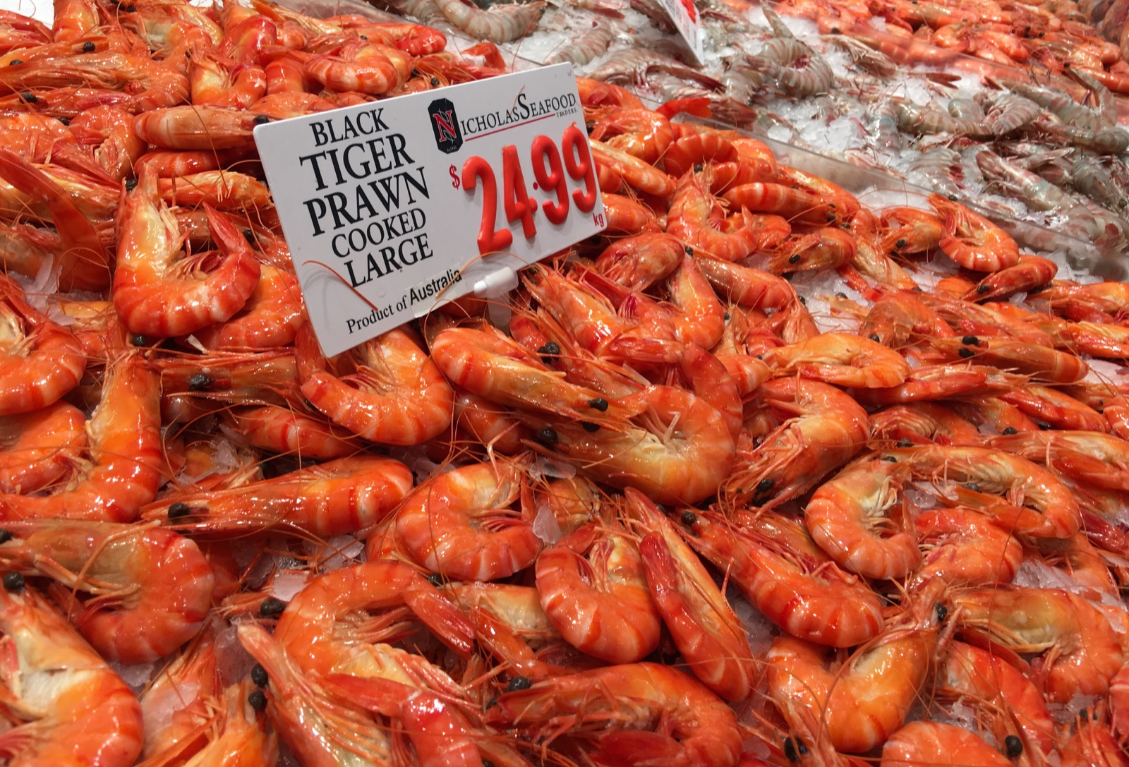 sydney-fish-market_black-tiger-prawn