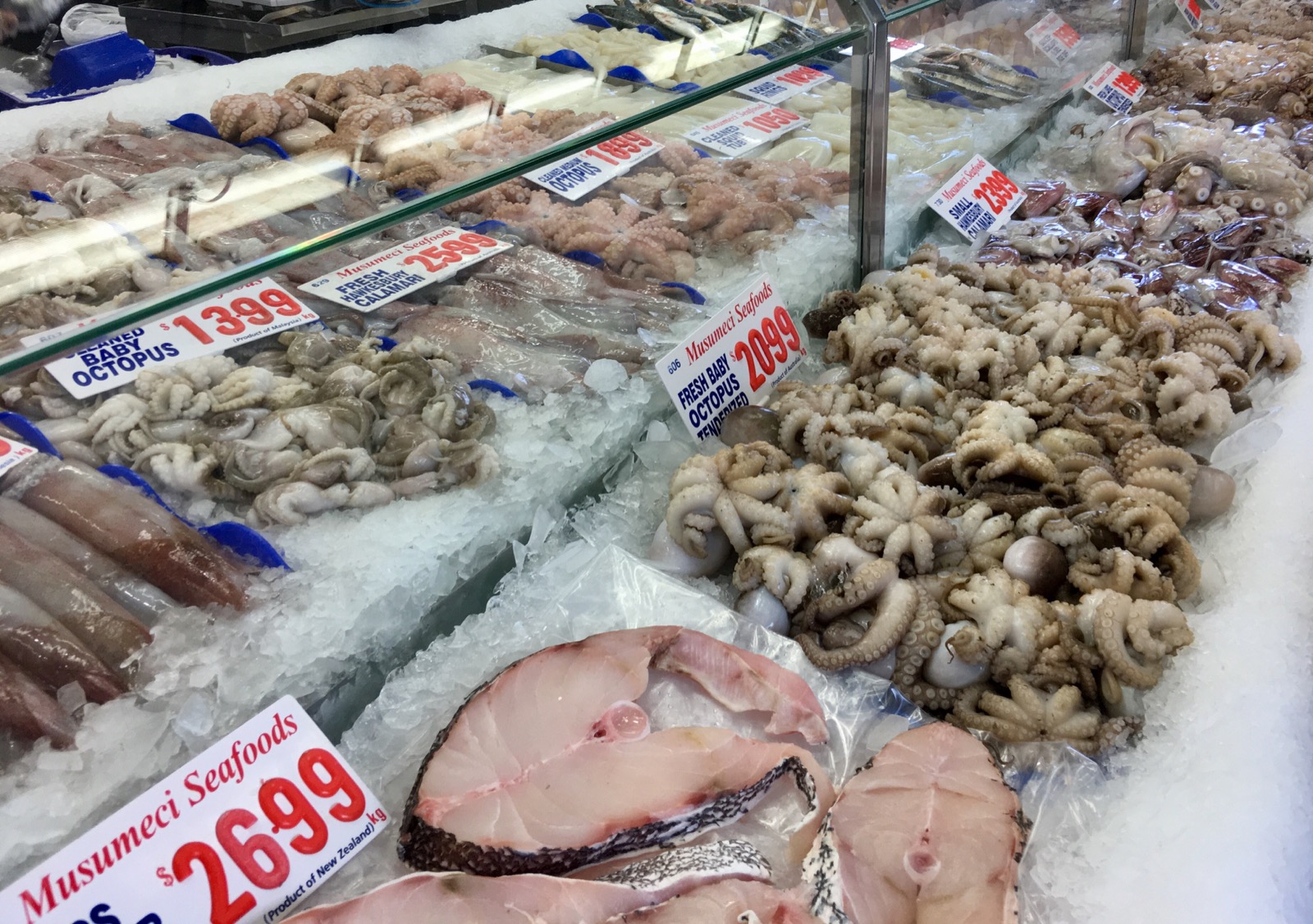 sydney-fish-market_cephalopods