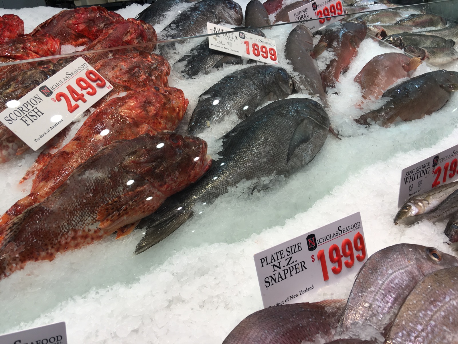 sydney-fish-market_scorpion-fish-and-blue-trevalli